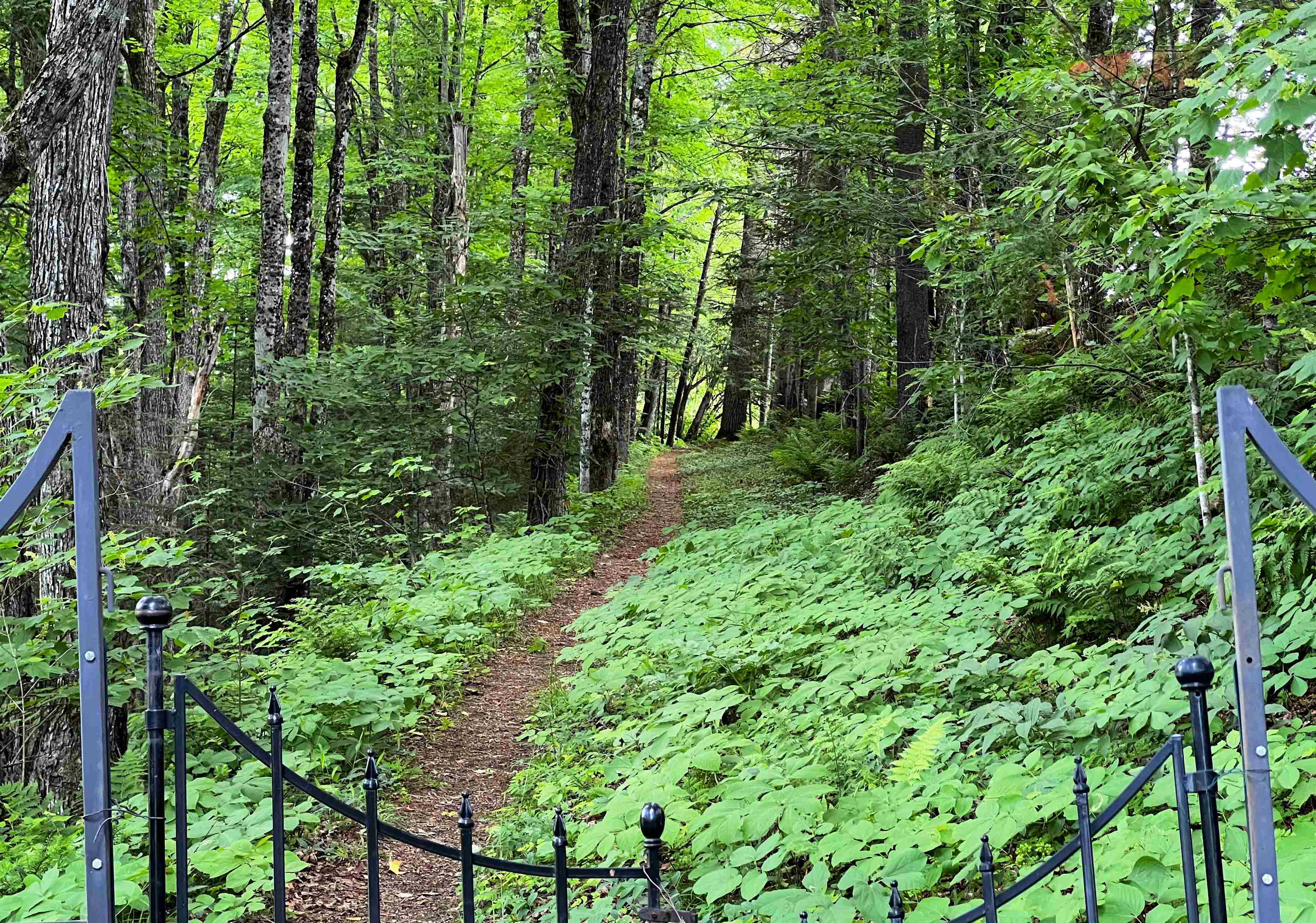 25 Fiddlehead Lane Sutton, VT 05851 - Photo 31 of 40 Gallery Image 31