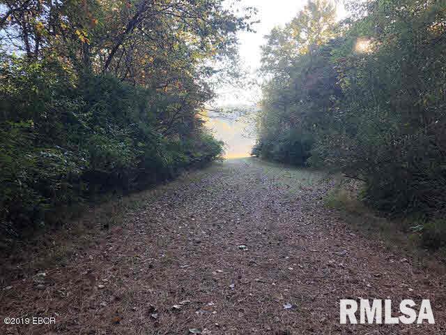 1735 Mt Hebron Road Makanda, IL 62958 - Photo 17 of 27 Gallery Image 17