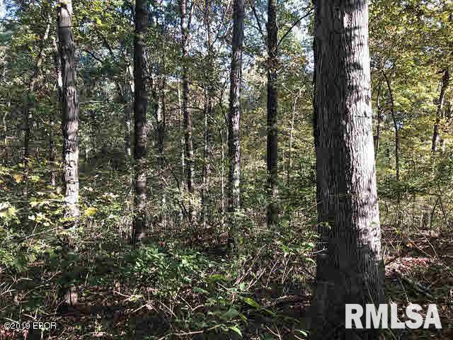 1735 Mt Hebron Road Makanda, IL 62958 - Photo 21 of 27 Gallery Image 21