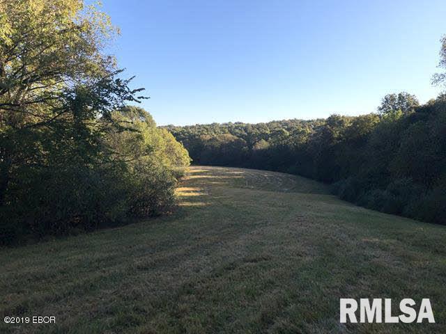 1735 Mt Hebron Road Makanda, IL 62958 - Photo 25 of 27 Gallery Image 25