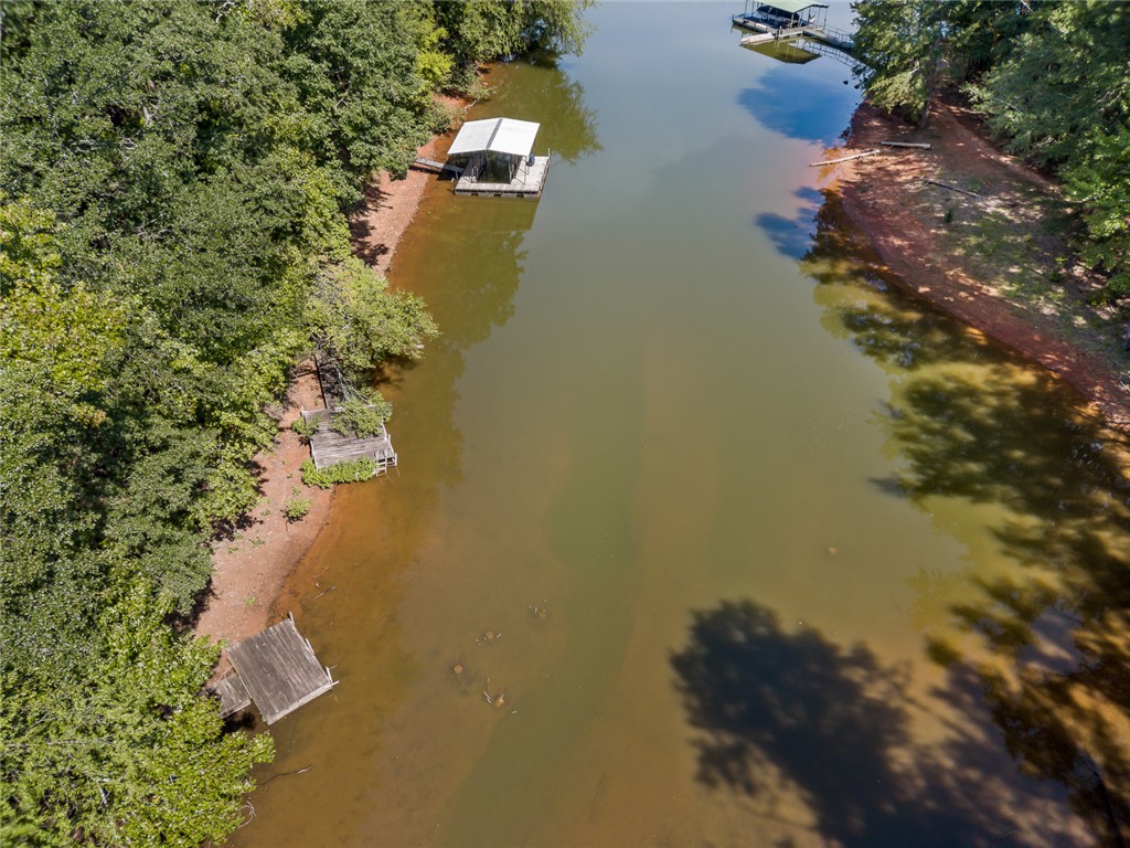 306 Lakewood Drive Anderson, SC 29621 - Photo 17 of 17 This serene waterfront property features a private boat dock amidst lush greenery.