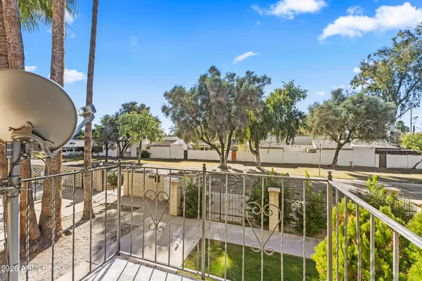 a view of a potted plants