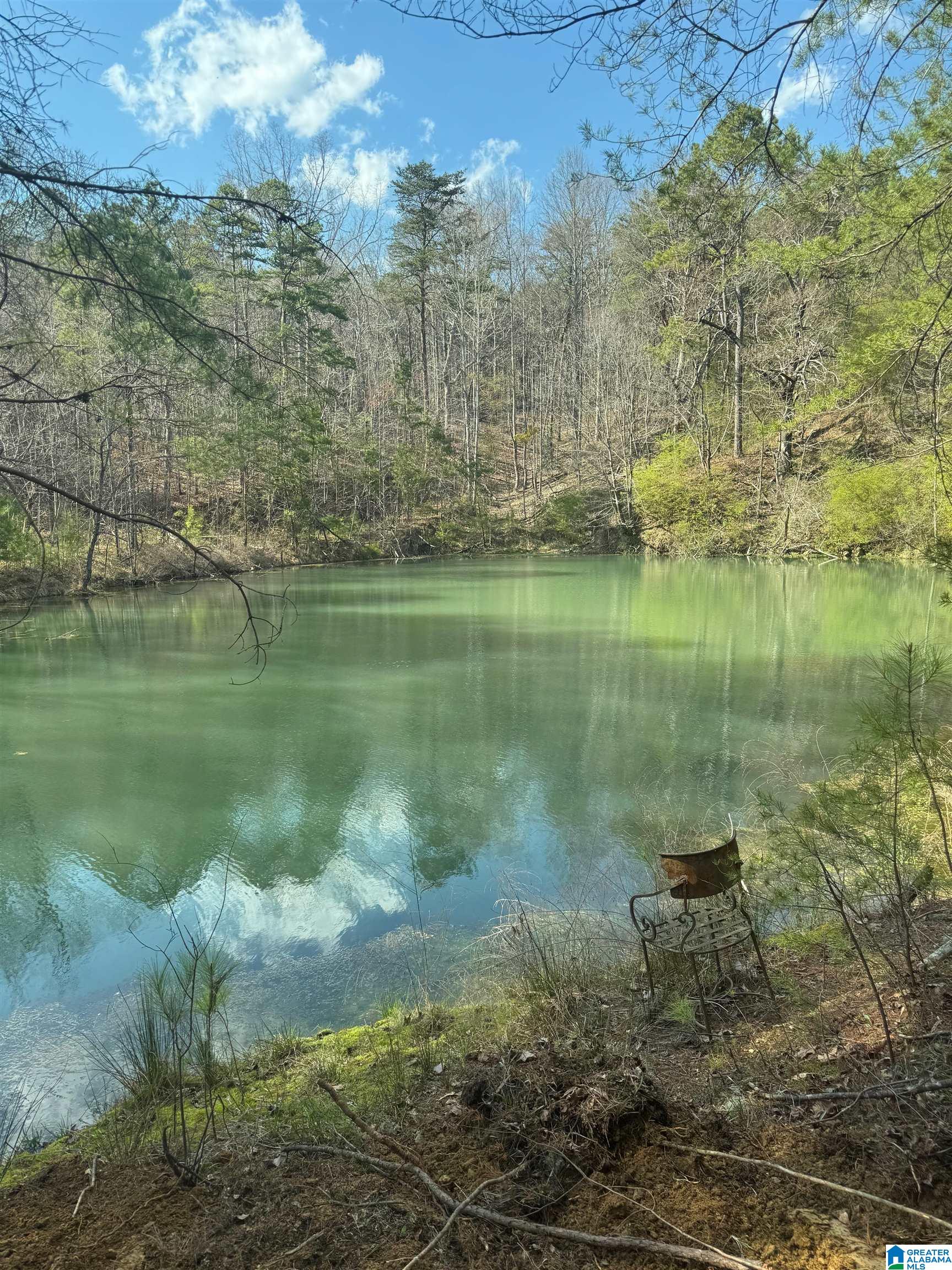 1810 King Road, Unit 12 Oneonta, AL 35121 - Photo 2 of 14 Gallery Image 2