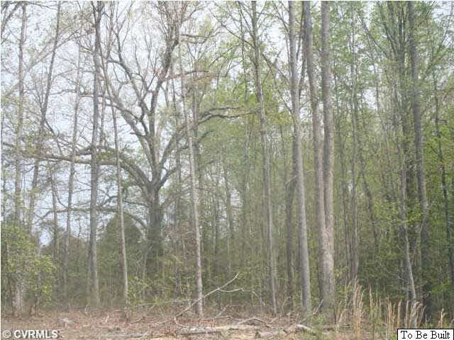 10 Winding Ridge Way Bumpass, VA 23024 - Photo 14 of 16 a view of a forest