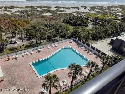 a view of a park with palm trees