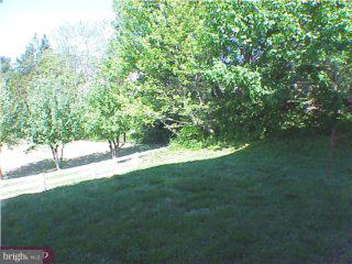 605 Minshall Road Springfield, PA 19064 - Photo 6 of 6