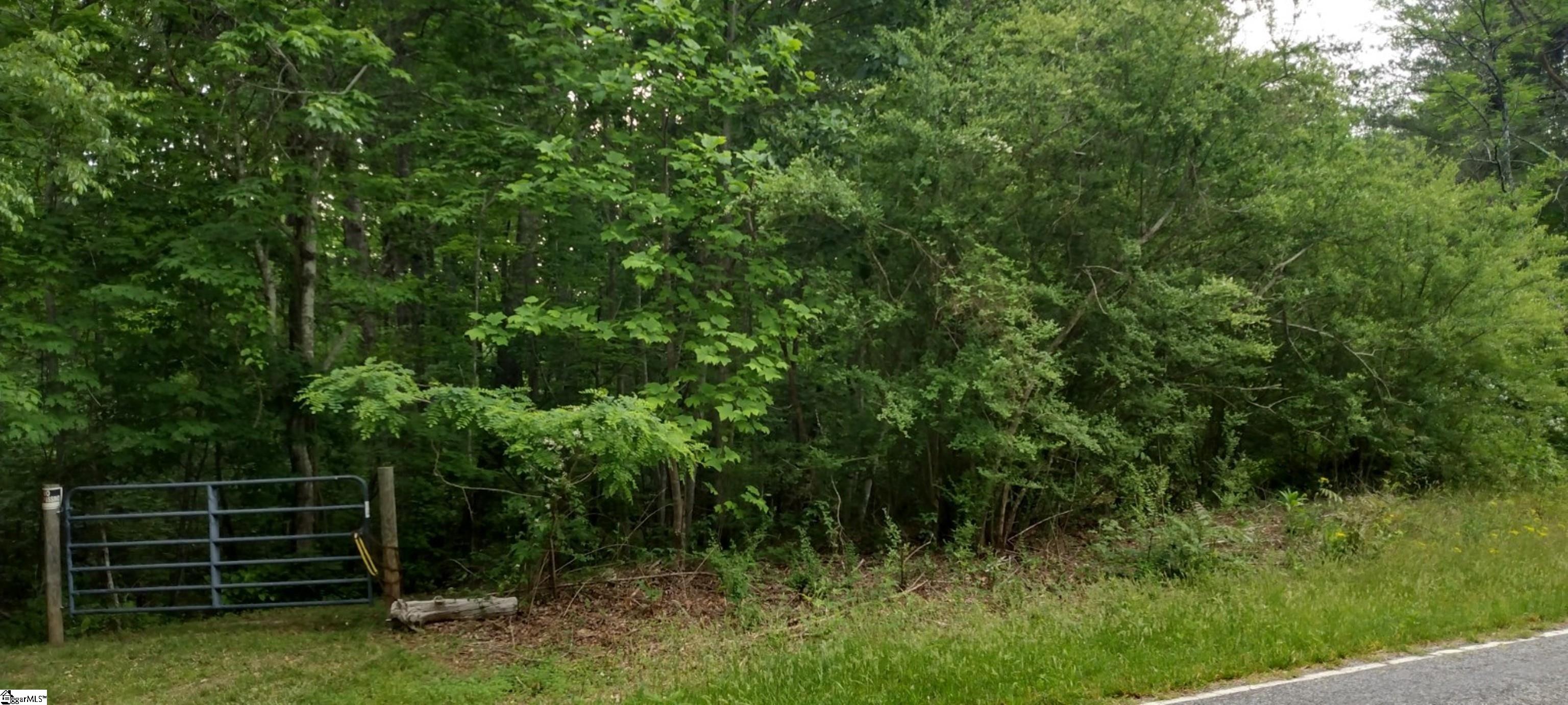 500 Dill Road Landrum, SC 29356 - Photo 1 of 8
