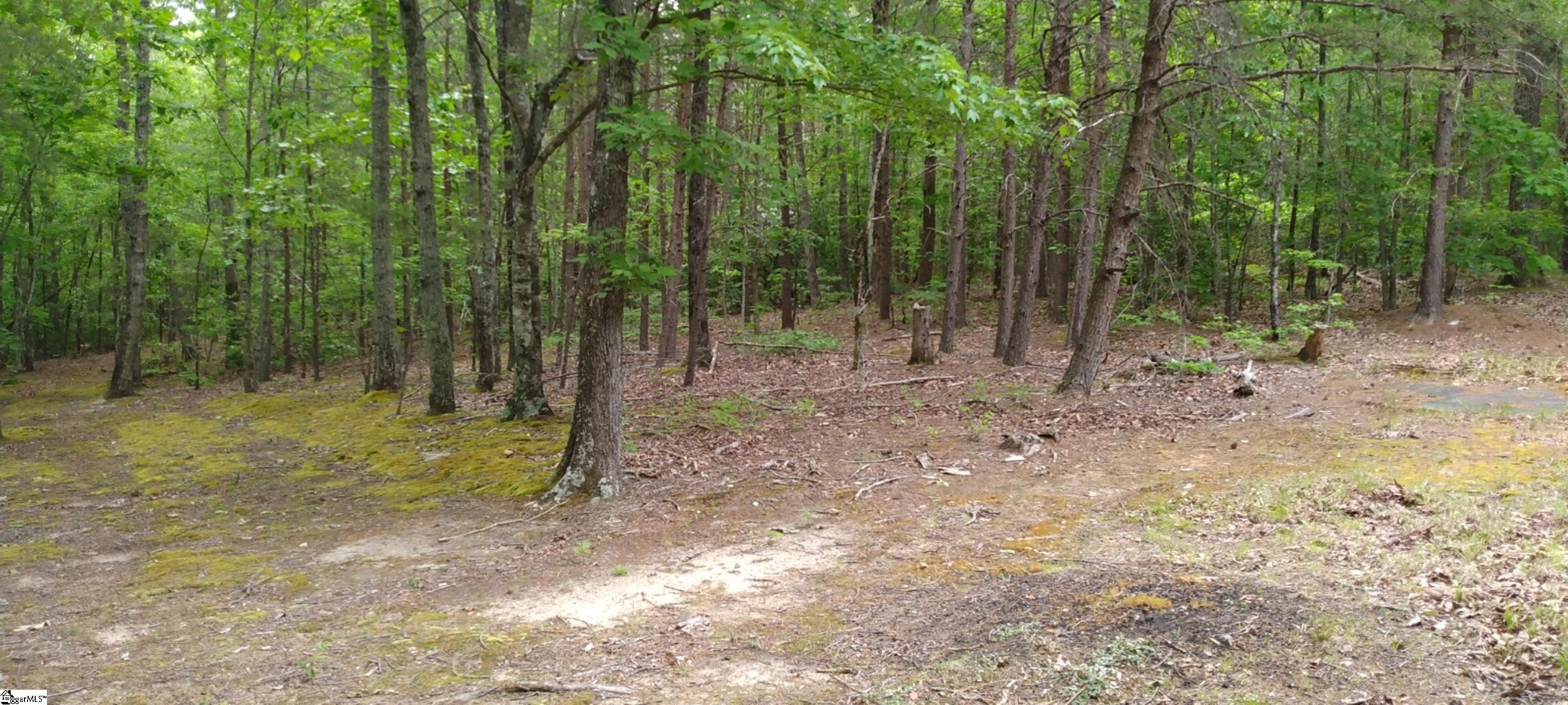 500 Dill Road Landrum, SC 29356 - Photo 5 of 8