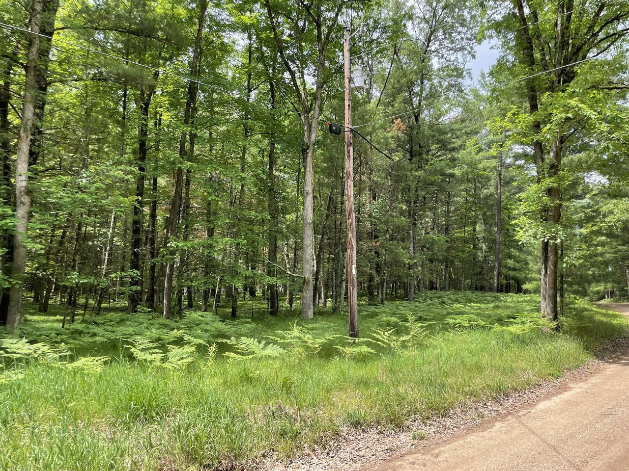 8725 West River Road Irons, MI 49644 - Photo 35 of 37