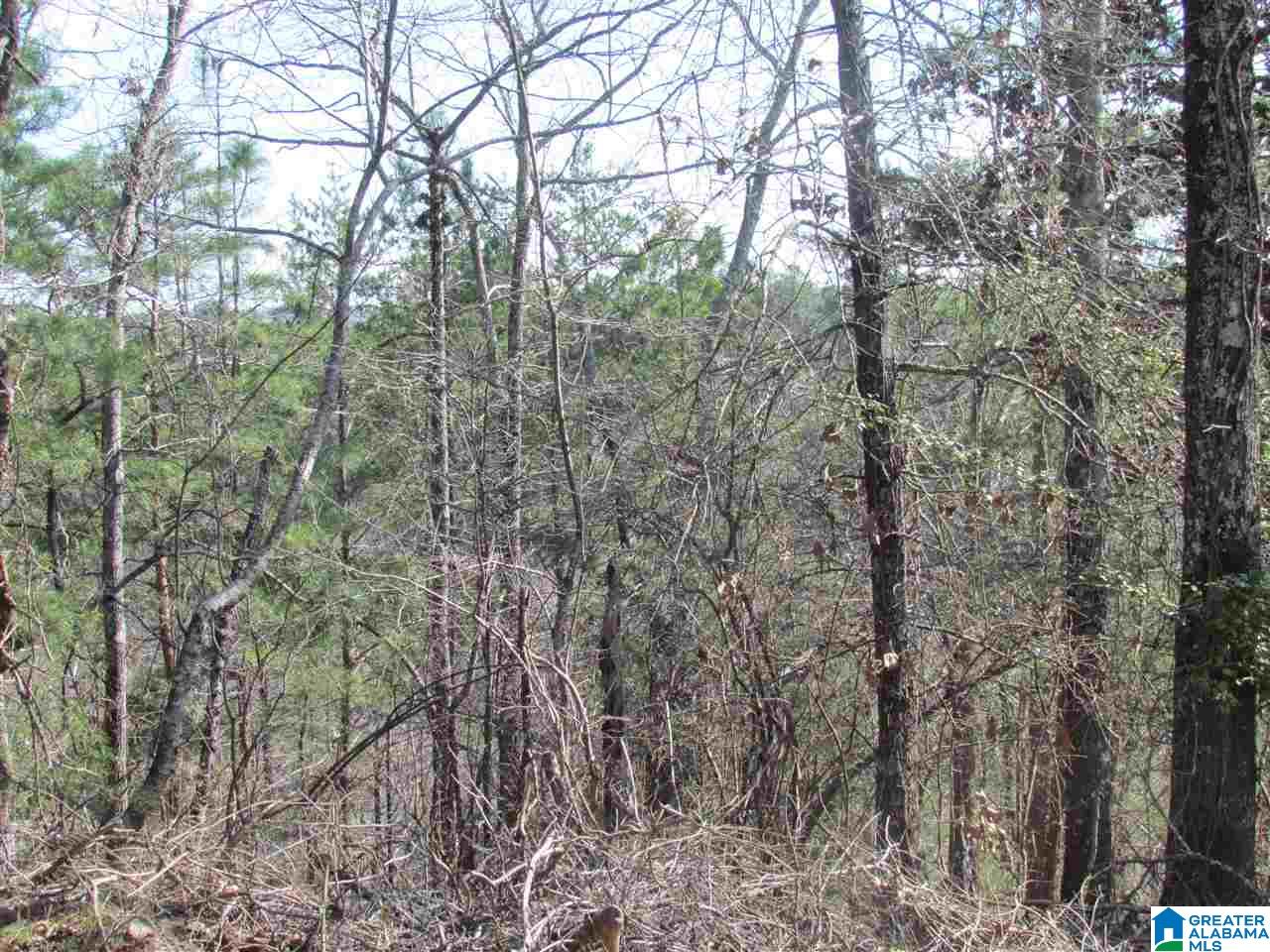 Kings Crest Lane, Unit 71 Pelham, AL 35124 - Photo 1 of 1