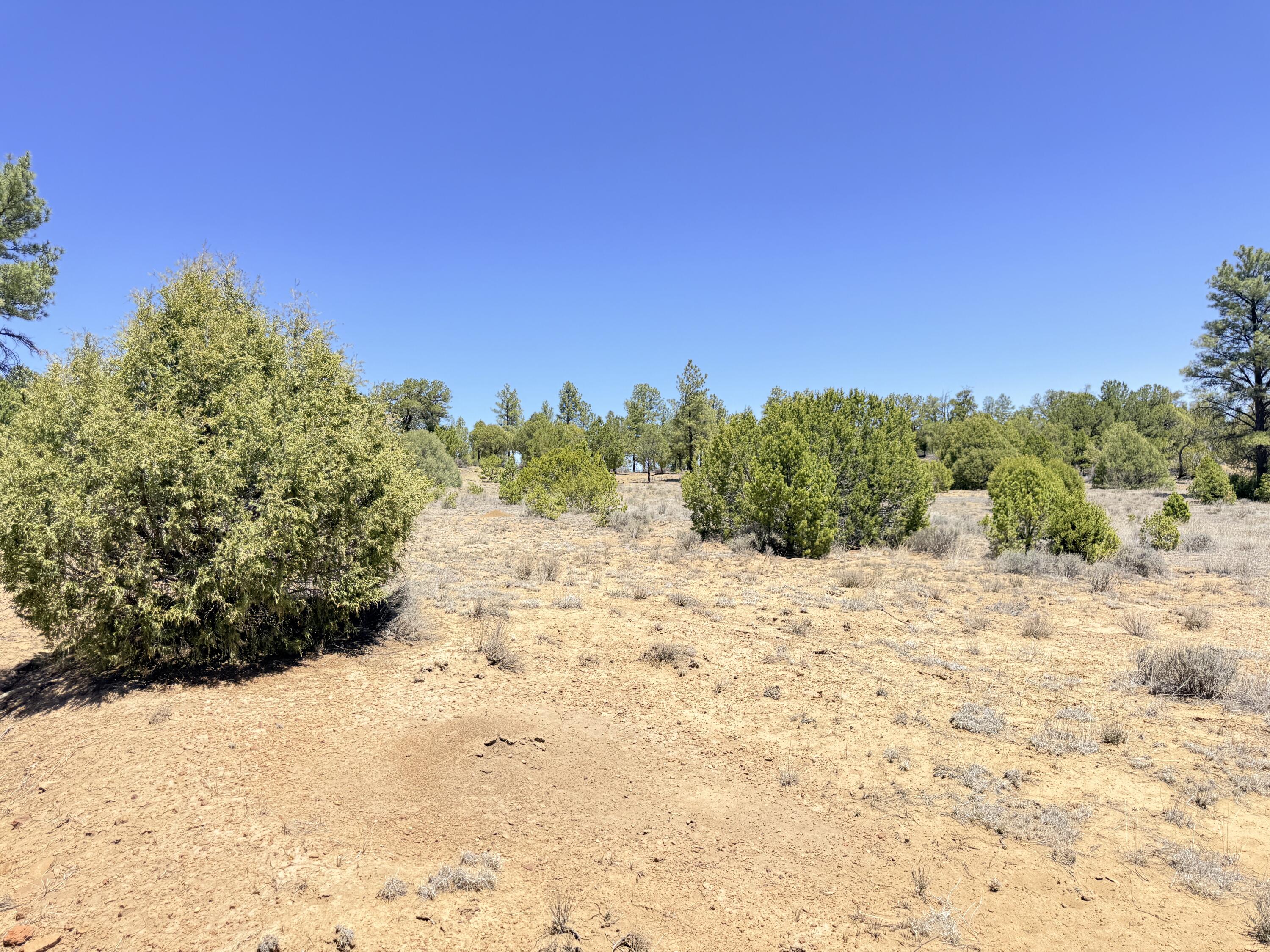 994 Wild Horse Ranch Road Pie Town, NM 87827 - Photo 56 of 70 Gallery Image 56