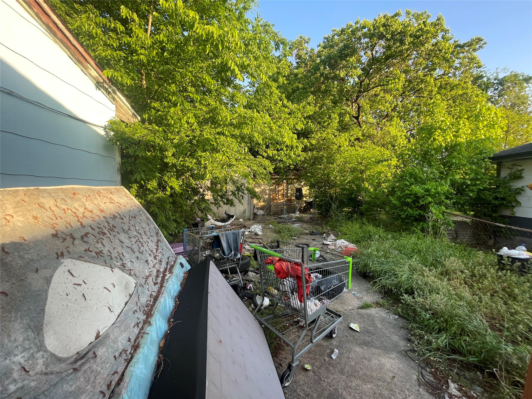 4854 Clover Street Houston, TX 77033 - Photo 7 of 8 a backyard of a house with lots of green space