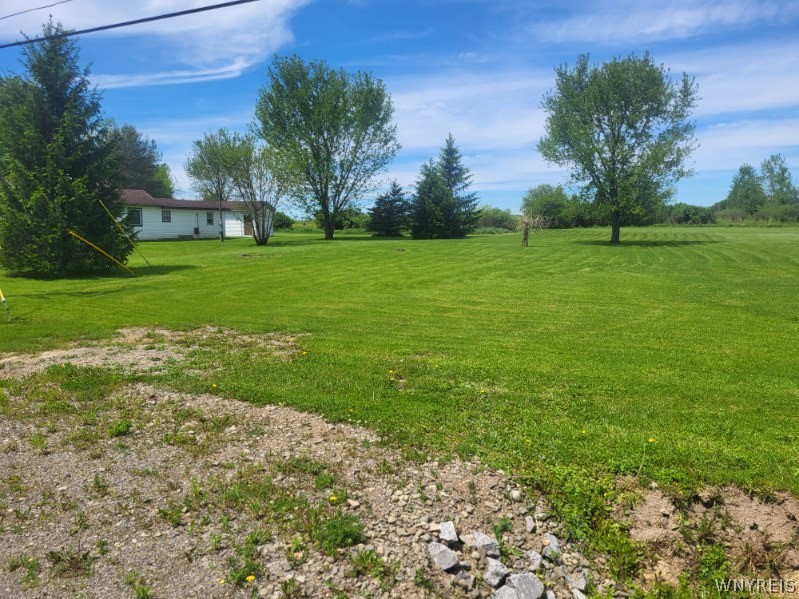 8294 Swamp Road East Otto, NY 14729 - Photo 46 of 47