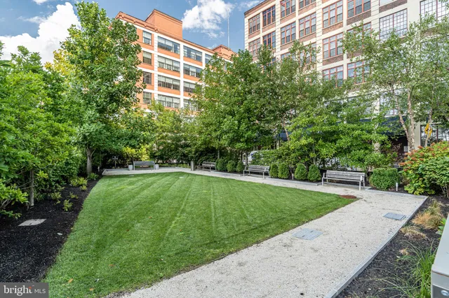 a view of a backyard with a garden and plants