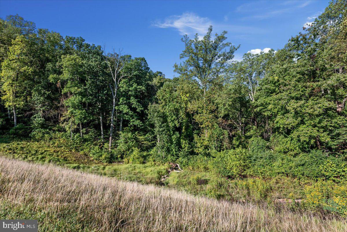 0 Blue Mountain Road Front Royal, VA 22630 - Photo 13 of 15 Gallery Image 13
