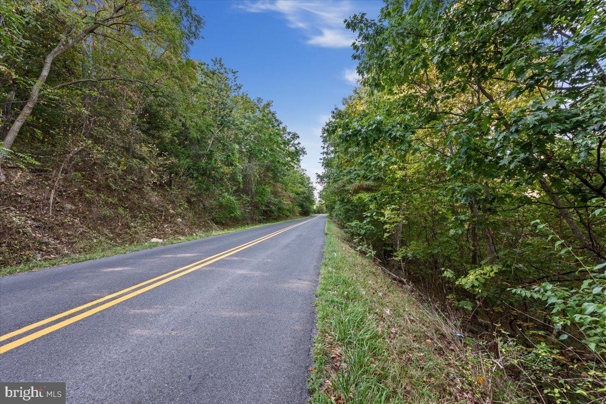 0 Blue Mountain Road Front Royal, VA 22630 - Photo 2 of 15 Gallery Image 2