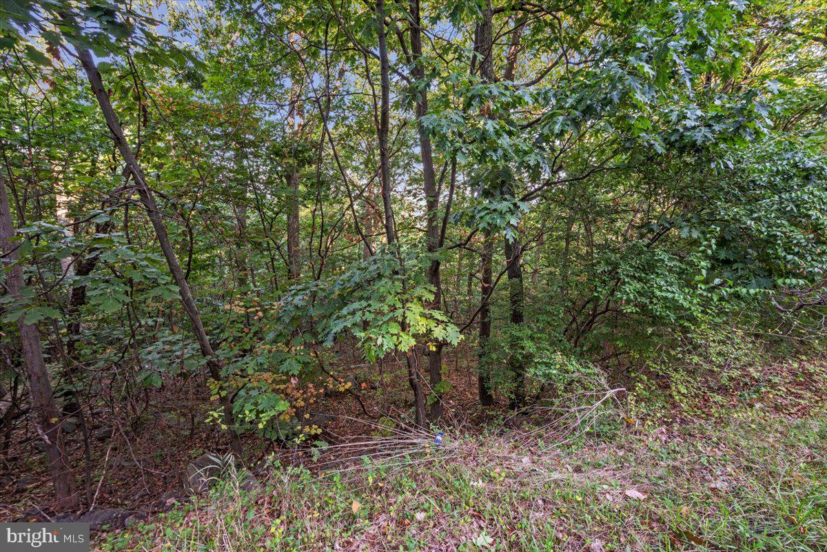 0 Blue Mountain Road Front Royal, VA 22630 - Photo 3 of 15 Gallery Image 3