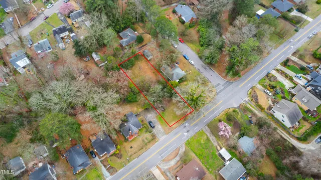 a picture of flowers