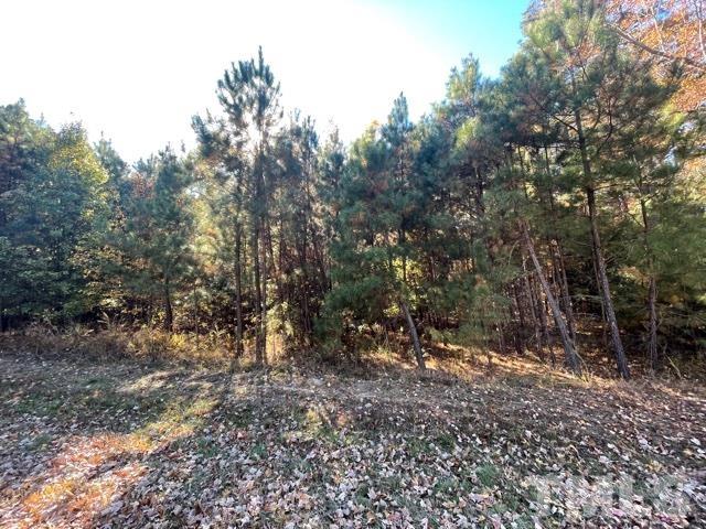 E East Ferrell Road Apex, NC 27523 - Photo 3 of 12 Gallery Image 3