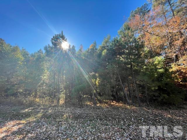 E East Ferrell Road Apex, NC 27523 - Photo 4 of 12 Gallery Image 4