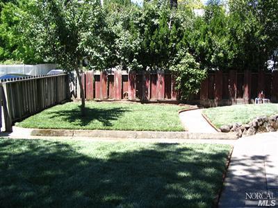 125 Butterfield Road San Anselmo, CA 94960 - Photo 2 of 10 a view of a backyard with tree s