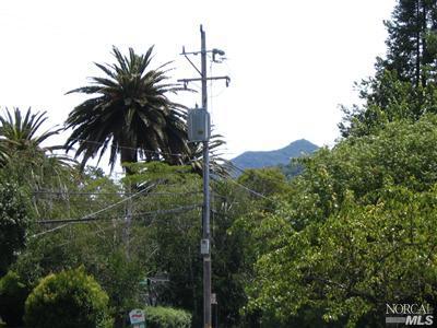 125 Butterfield Road San Anselmo, CA 94960 - Photo 10 of 10 a view of a palm tree next to a road