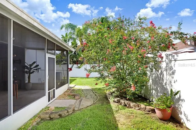 a view of a backyard with potted plants