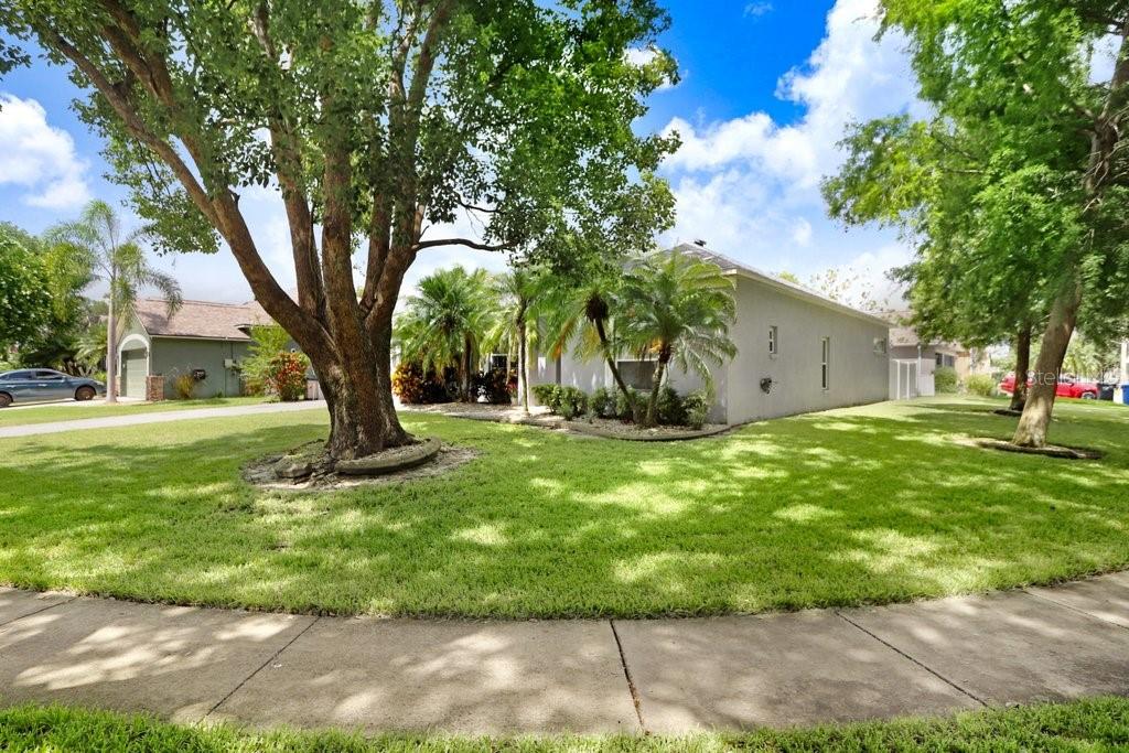829 Innergary Place Valrico, FL 33594 - Photo 25 of 30 a view of outdoor space with a garden