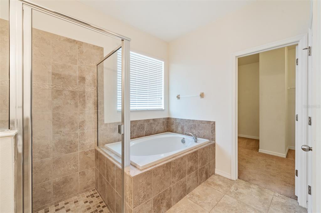 1570 Fox Grape Loop Lutz, FL 33558 - Photo 17 of 41 a bathroom with a tub and shower