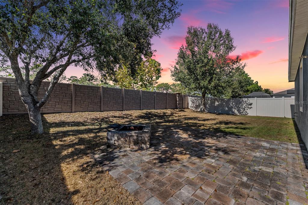 1570 Fox Grape Loop Lutz, FL 33558 - Photo 23 of 41 a backyard of a house