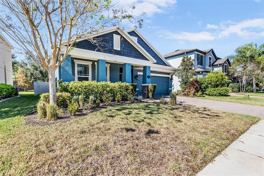 1570 Fox Grape Loop Lutz, FL 33558 - Photo 25 of 41 a front view of a house with a yard