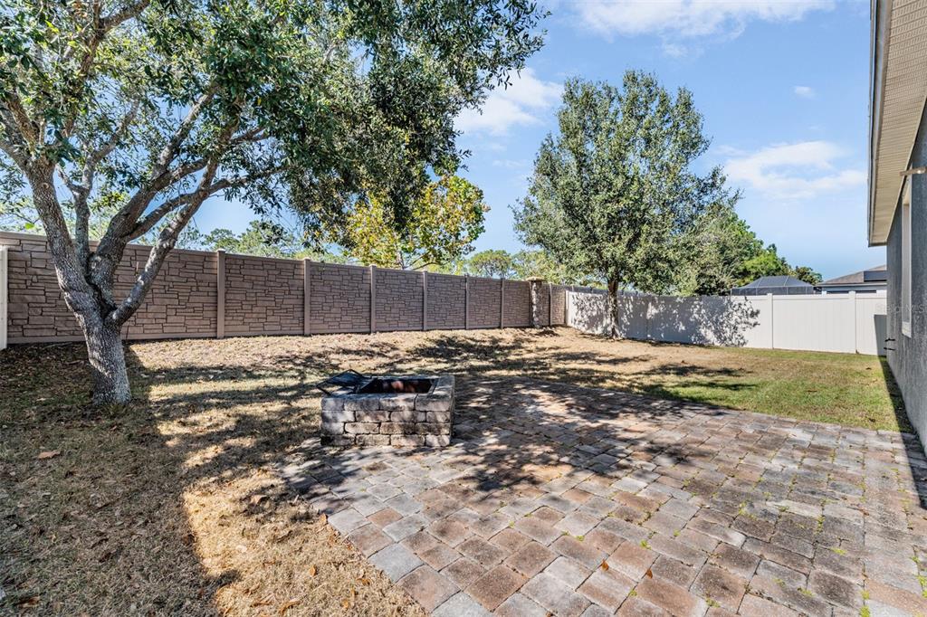 1570 Fox Grape Loop Lutz, FL 33558 - Photo 38 of 41 a backyard of a house