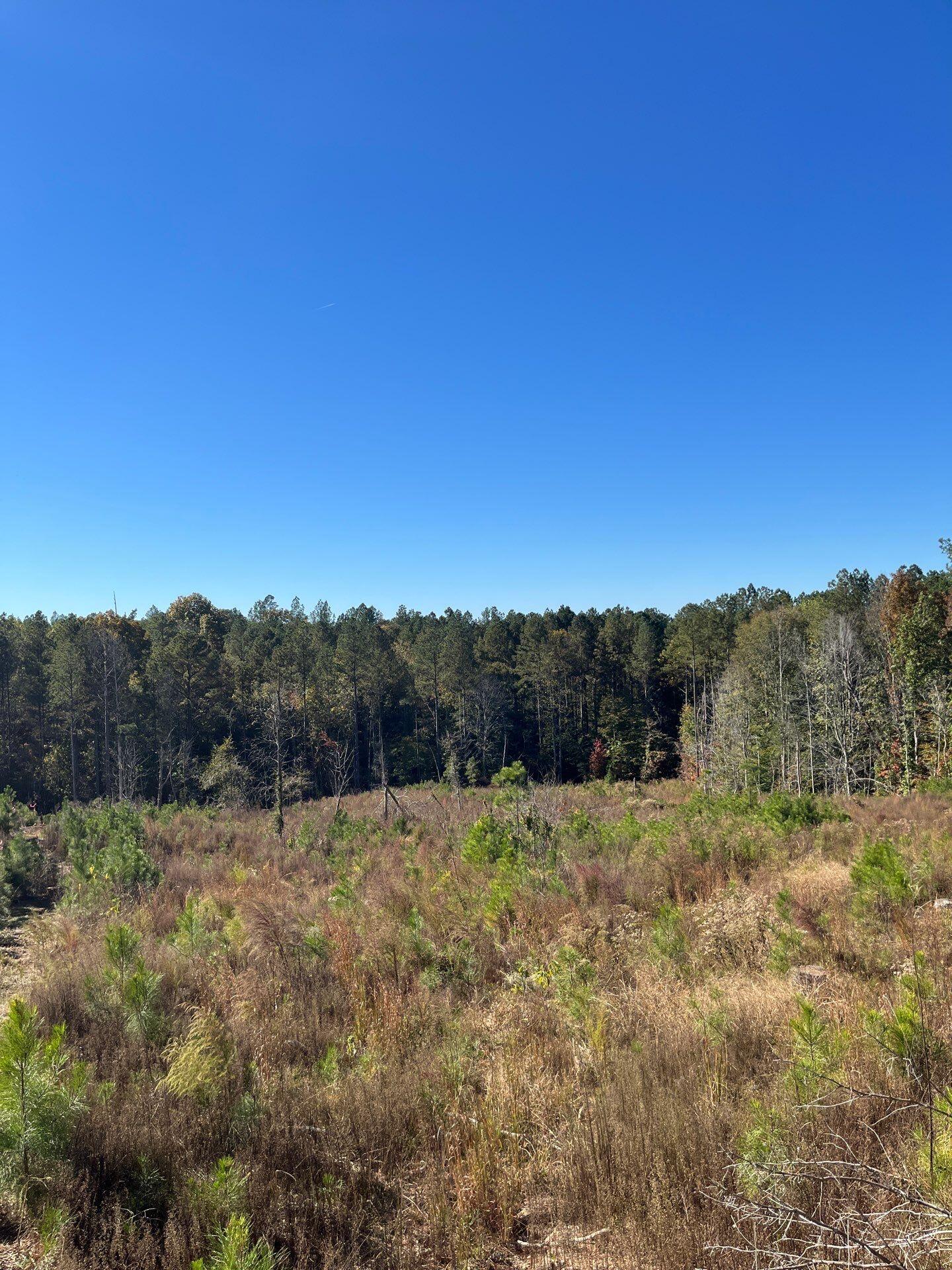 3 Dawkins Road, Unit DRF 3 Pacolet, SC 29372 - Photo 17 of 36