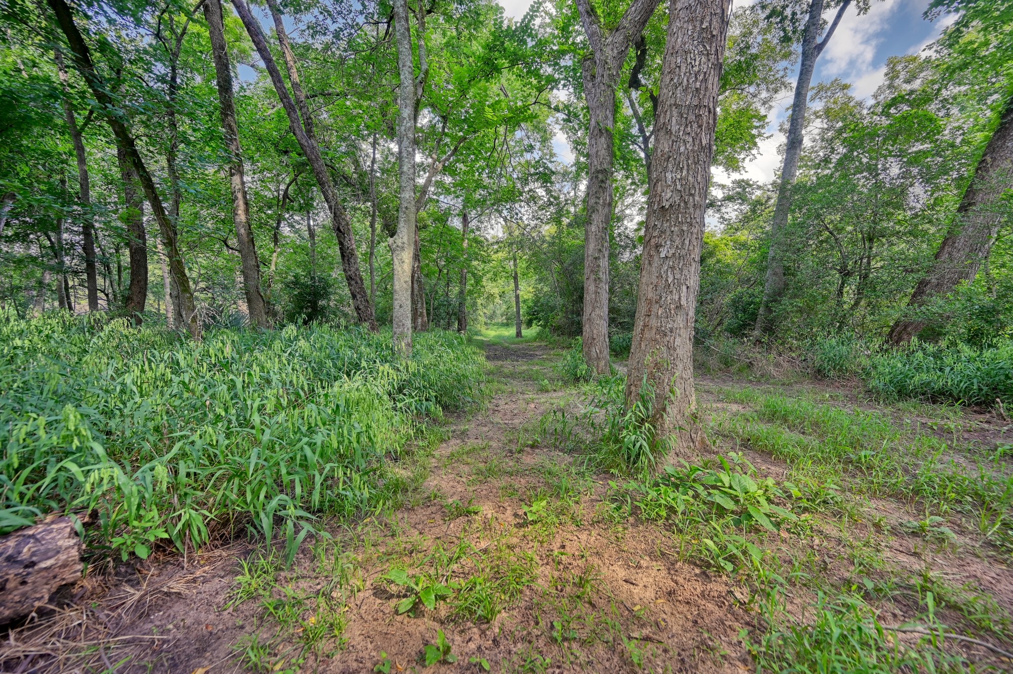 39577 Mesquite Hempstead, TX 77445 - Photo 31 of 43