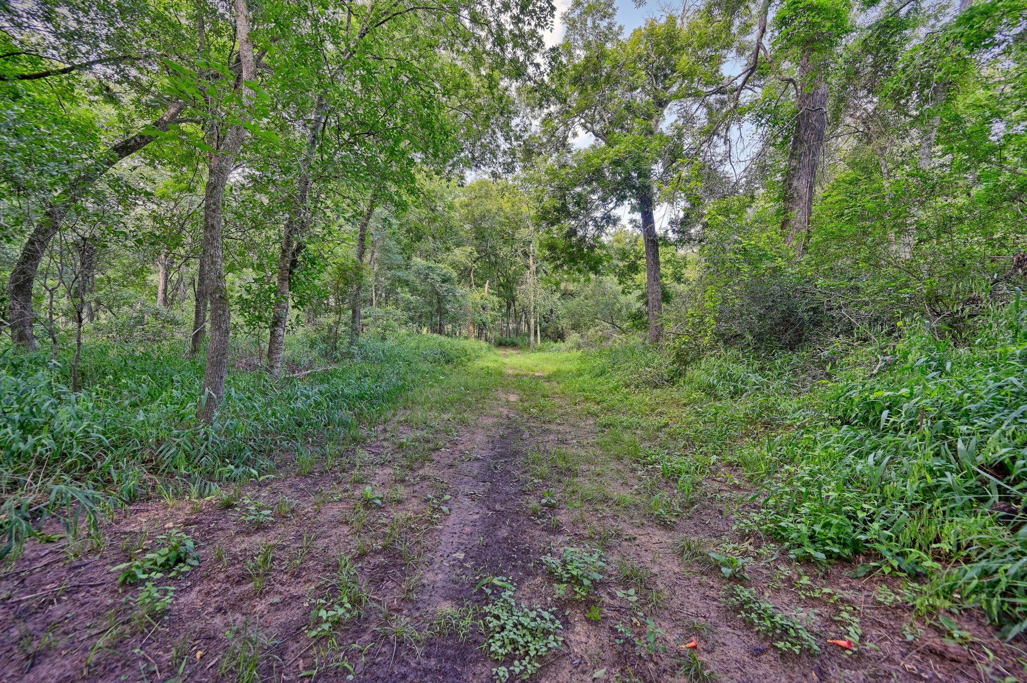 39577 Mesquite Hempstead, TX 77445 - Photo 36 of 43