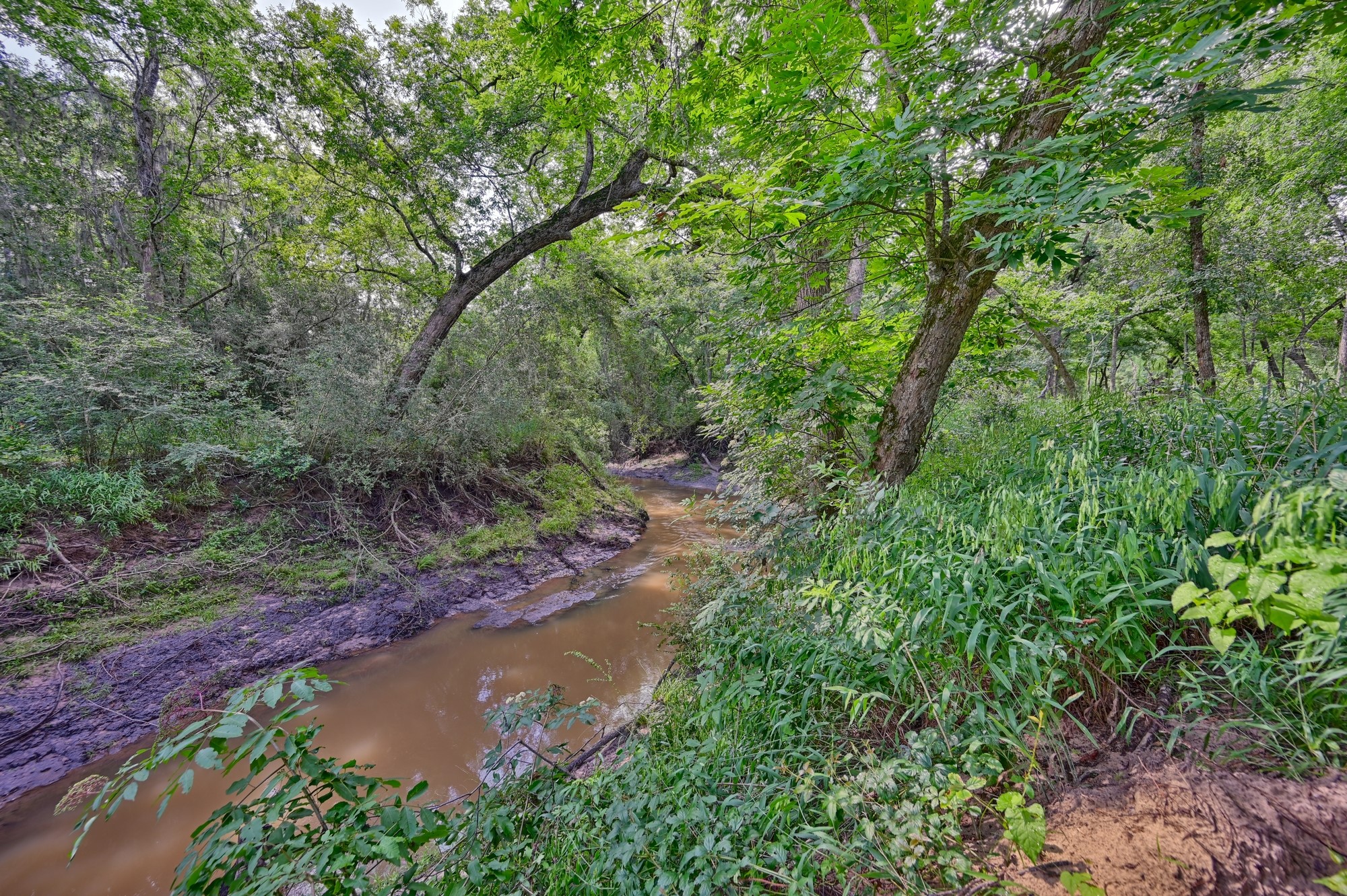 39577 Mesquite Hempstead, TX 77445 - Photo 37 of 43