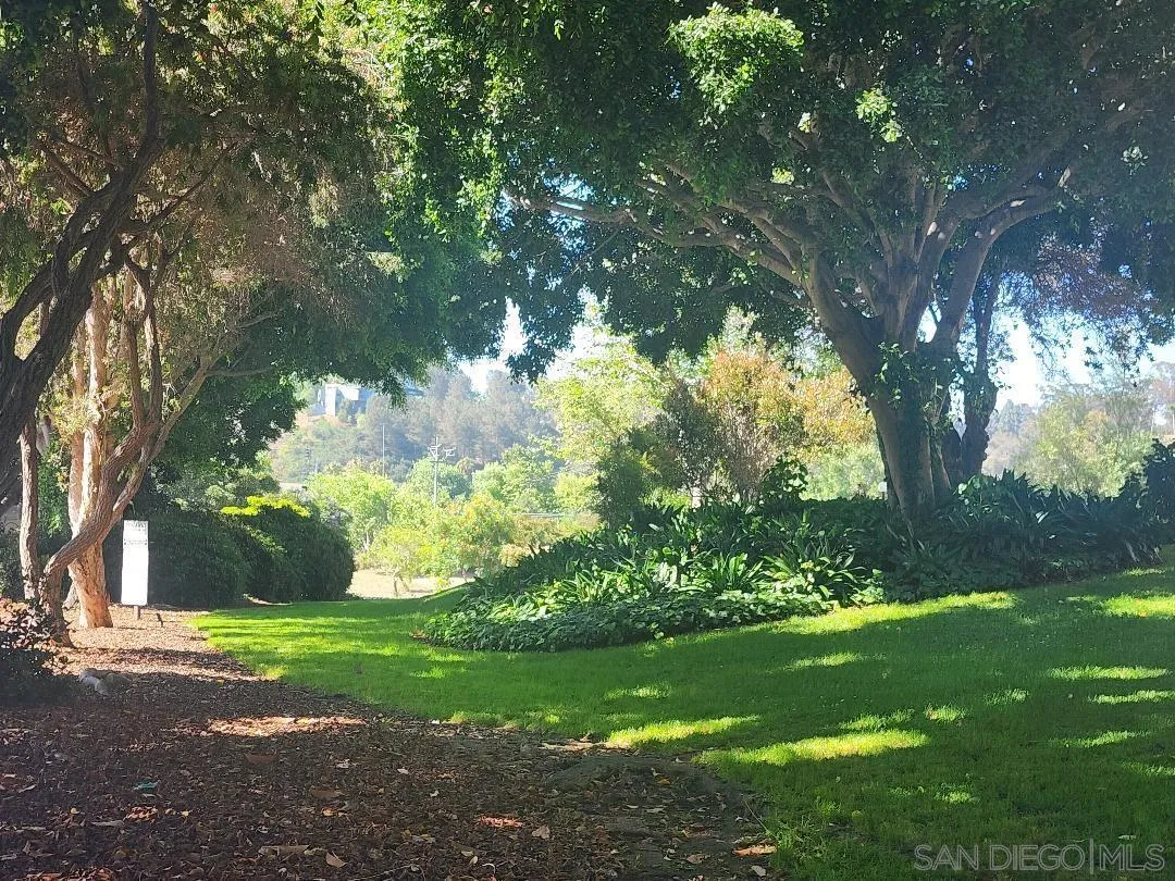 5705 Friars Road, Unit 22 San Diego, CA 92110 - Photo 35 of 38 a view of a yard with a tree