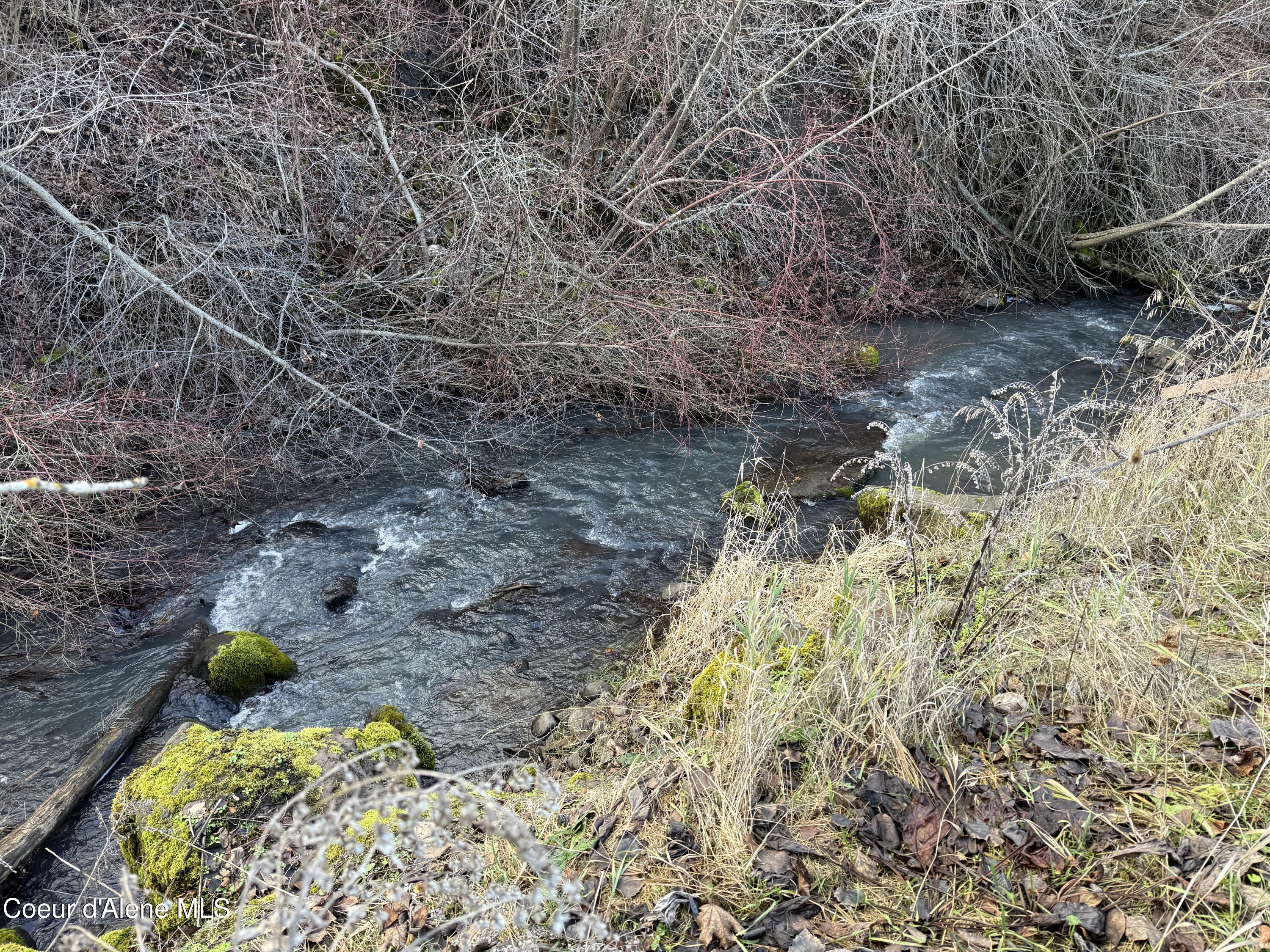 32680 Webb Ridge Road Lapwai, ID 83540 - Photo 15 of 26 57E76456-9AF5-4BFF-8F64-8051AF740F0F