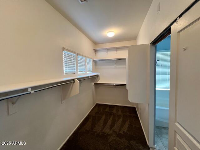 10618 West Lone Cactus Drive Peoria, AZ 85382 - Photo 22 of 22 IMG_7404