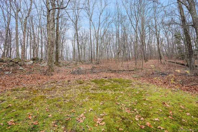 a view of wooden fence and trees