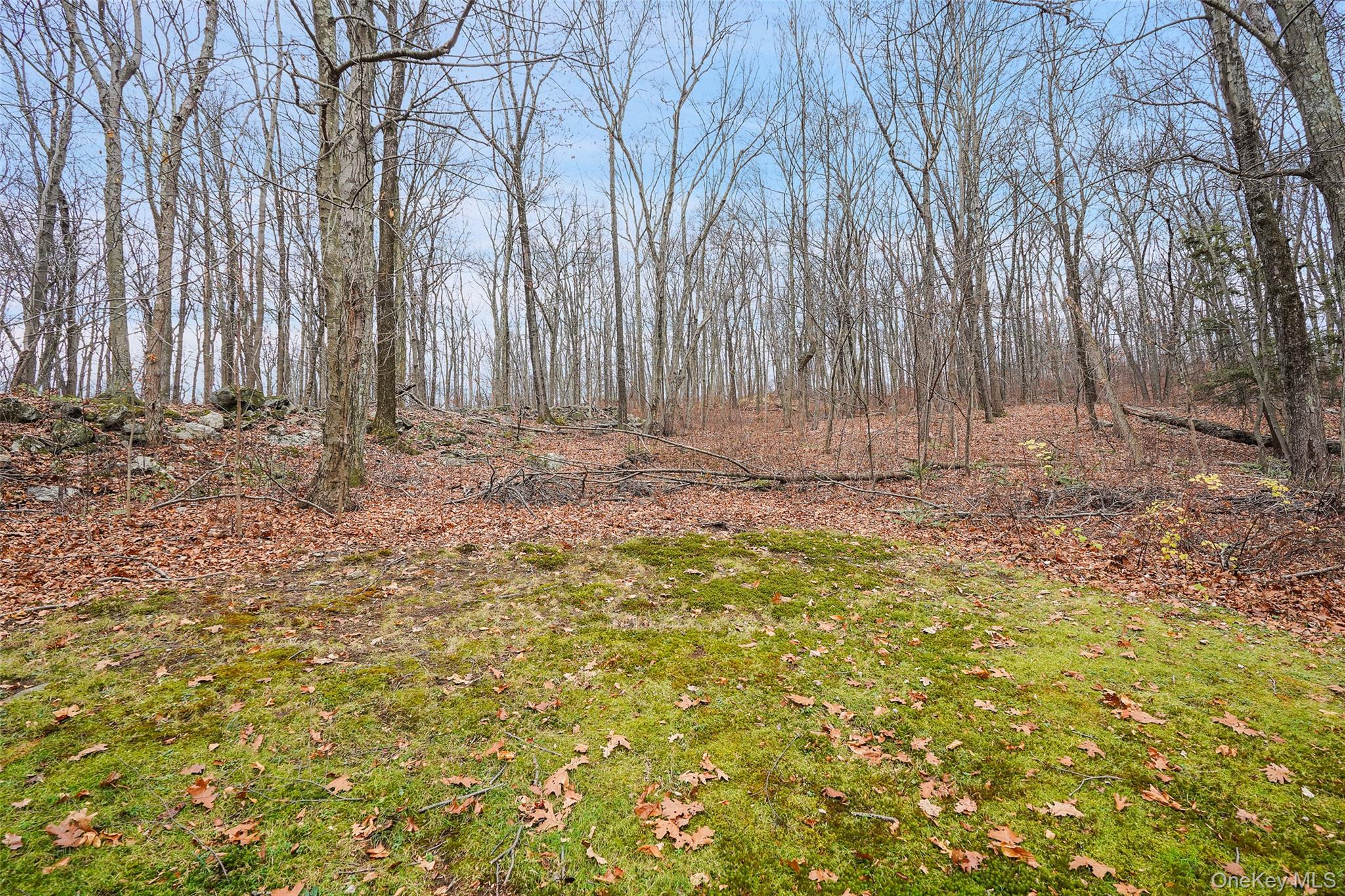 272 Van Wyck Lake Road Fishkill, NY 12524 - Photo 21 of 25 a view of wooden fence and trees
