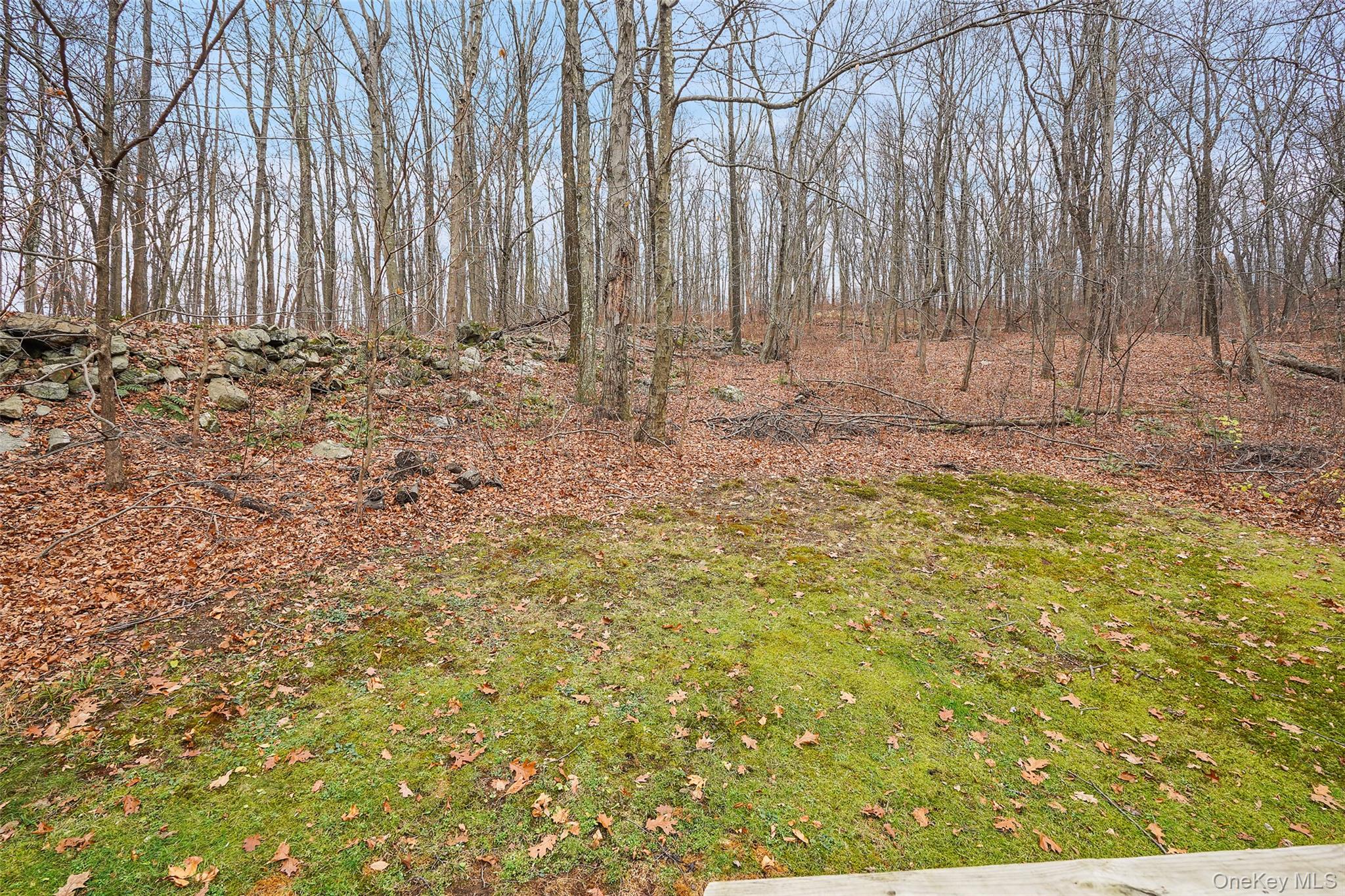 272 Van Wyck Lake Road Fishkill, NY 12524 - Photo 22 of 25 a view of small space with wooden fence