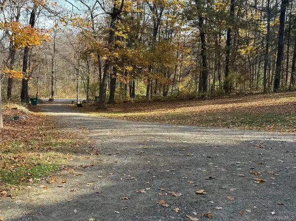 a view of road with large trees