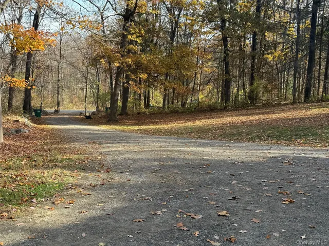a view of road with large trees