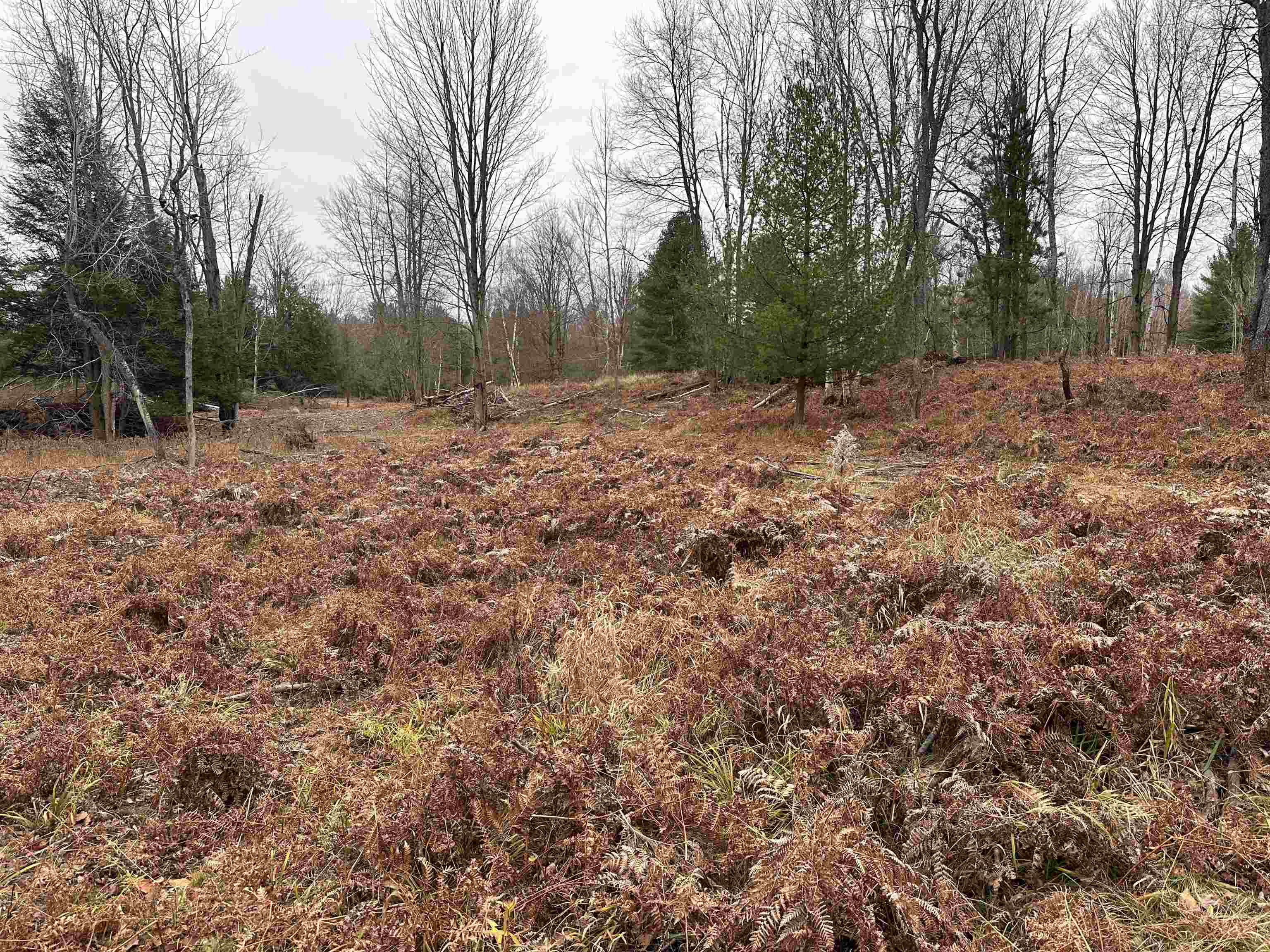 22 22 Mile Road Marion, MI 49665 - Photo 7 of 22