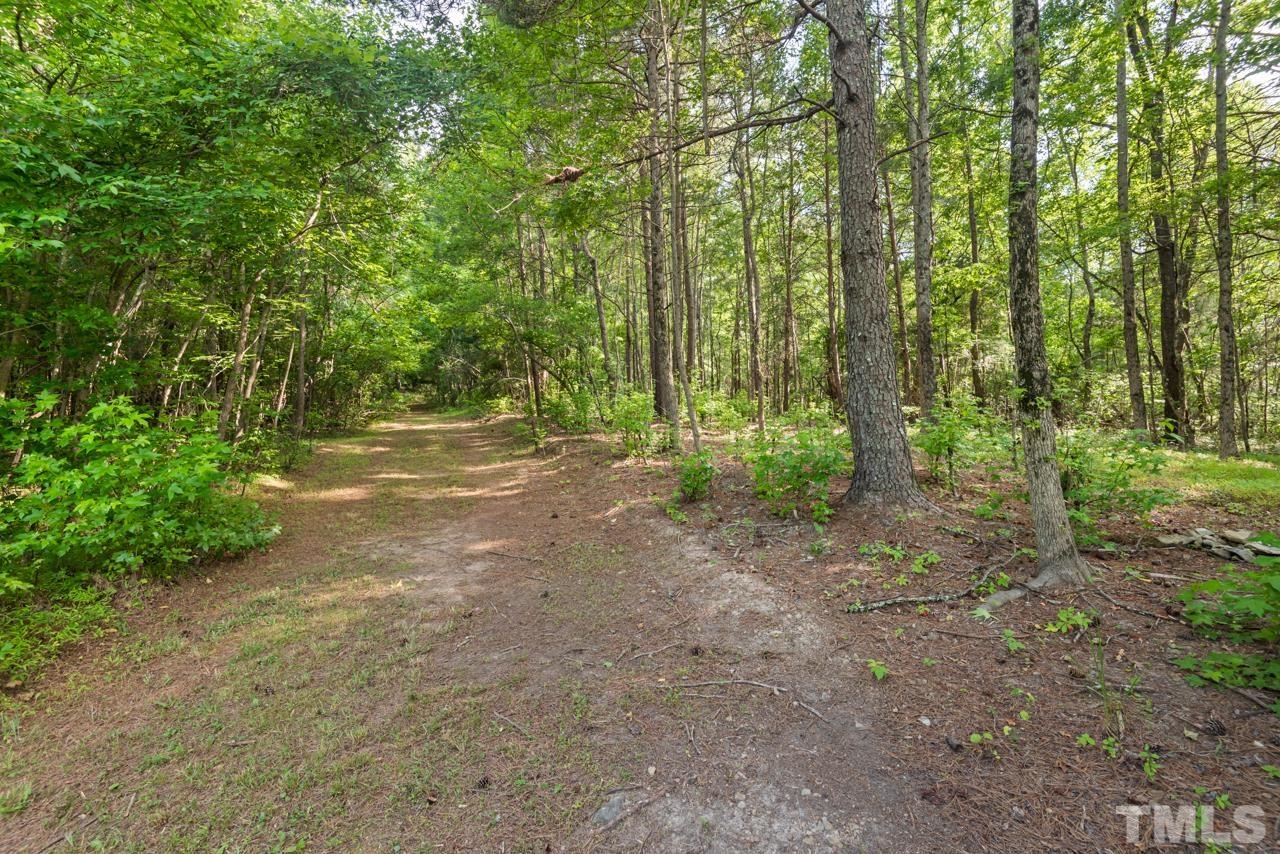 517 Circle B Farm Road Rougemont, NC 27572 - Photo 34 of 37 a view of a forest with trees in the background