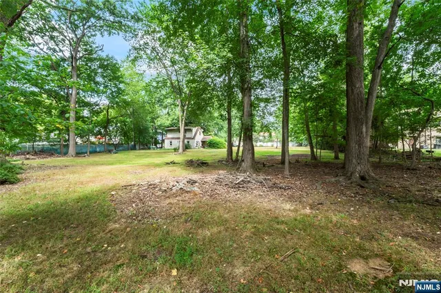 a view of outdoor space with trees all around
