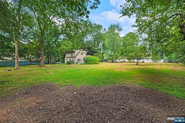 a view of a park with large trees