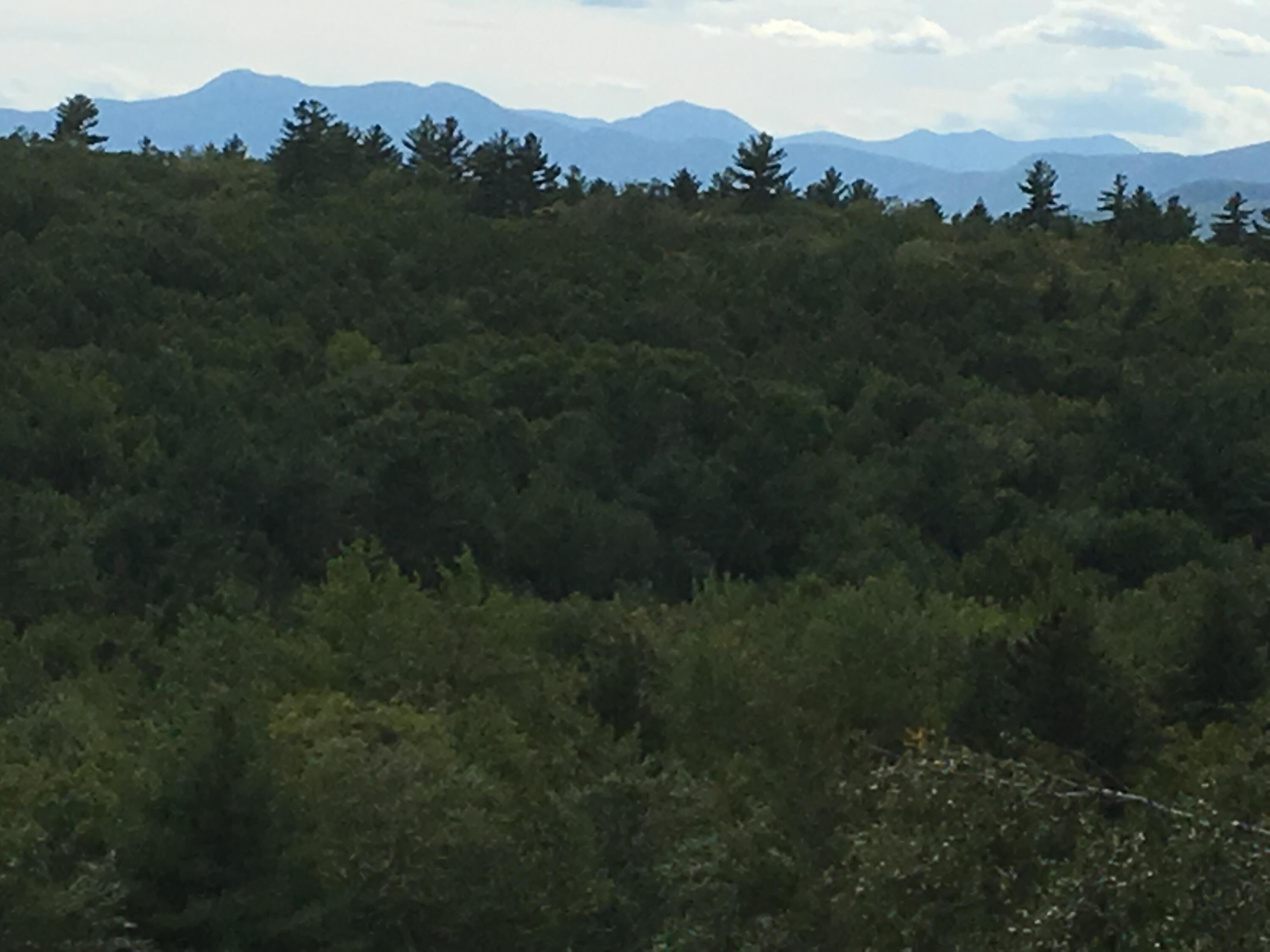 37 Loop Road Fryeburg, ME 04037 - Photo 2 of 9 IMG_2576