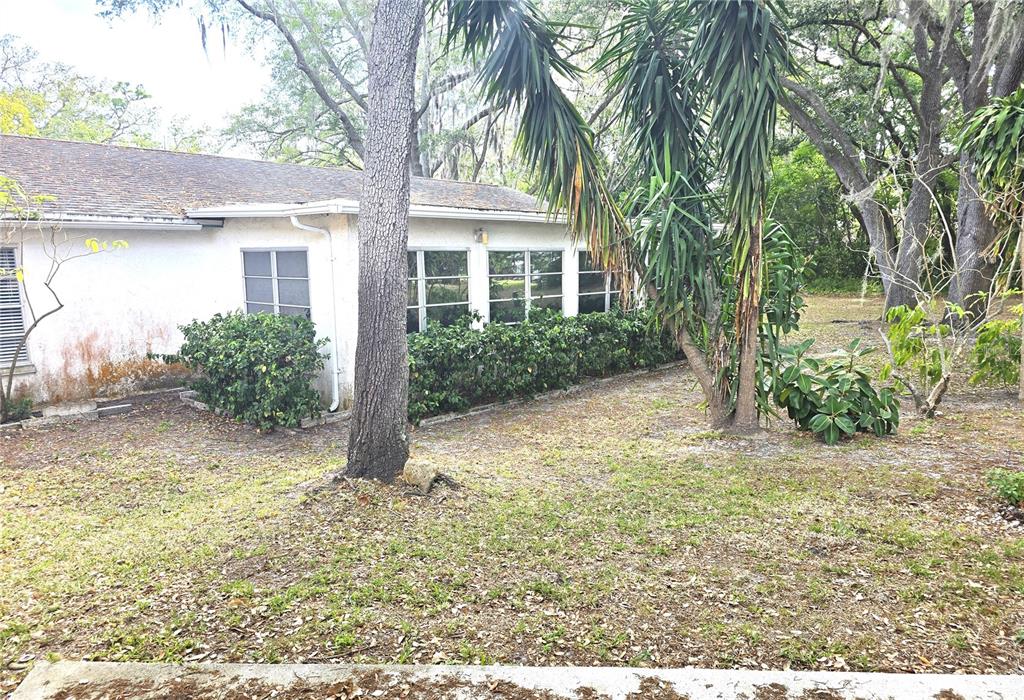 10641 Timber Lane Port Richey, FL 34668 - Photo 37 of 41